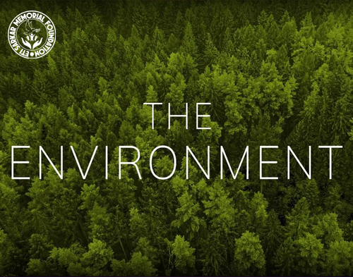 Environment & Forest